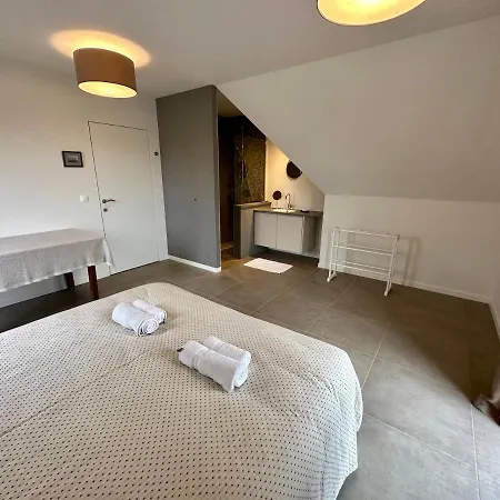 La Lumineuse Villa *